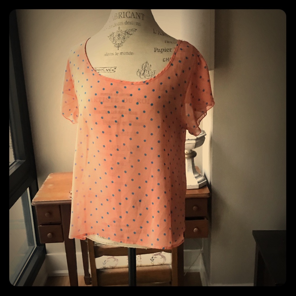 Birdcage Peach w/Gray Polka Dots Sheer Blouse Sz M